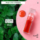 13 Color Fruit Flavor Lip Oil/Temperature Change Lip Gloss